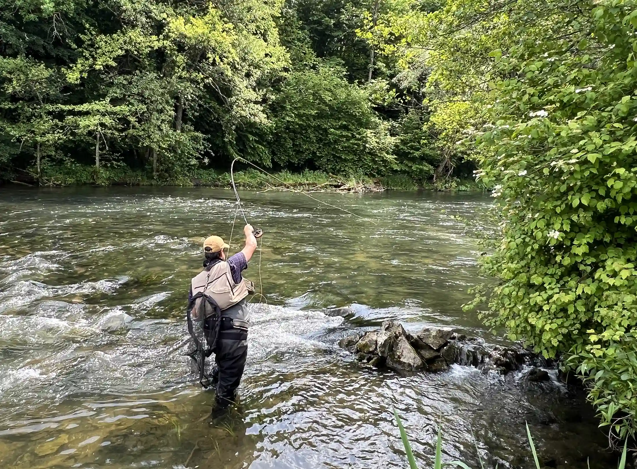 Fly angler in action on Krka river, Slovenia, in search of native brown trout.