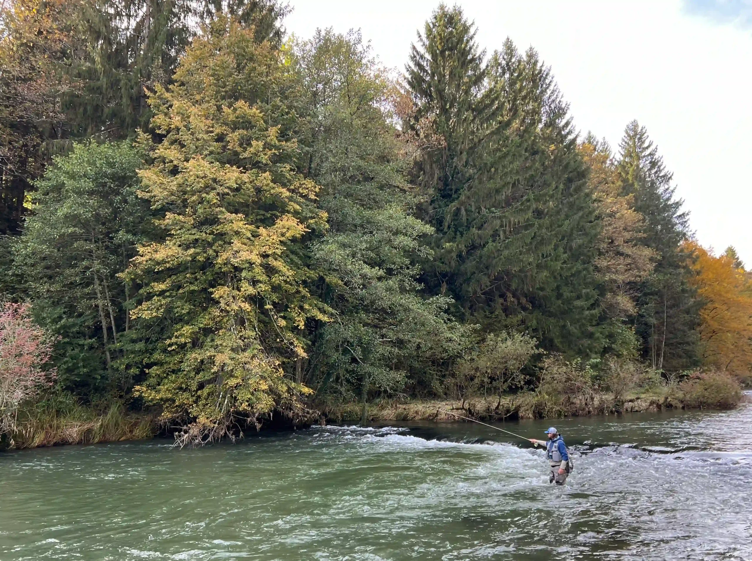 Professional guide in Slovenia, testing the spots in Krka river, top fly fishing destination in Slovenia.