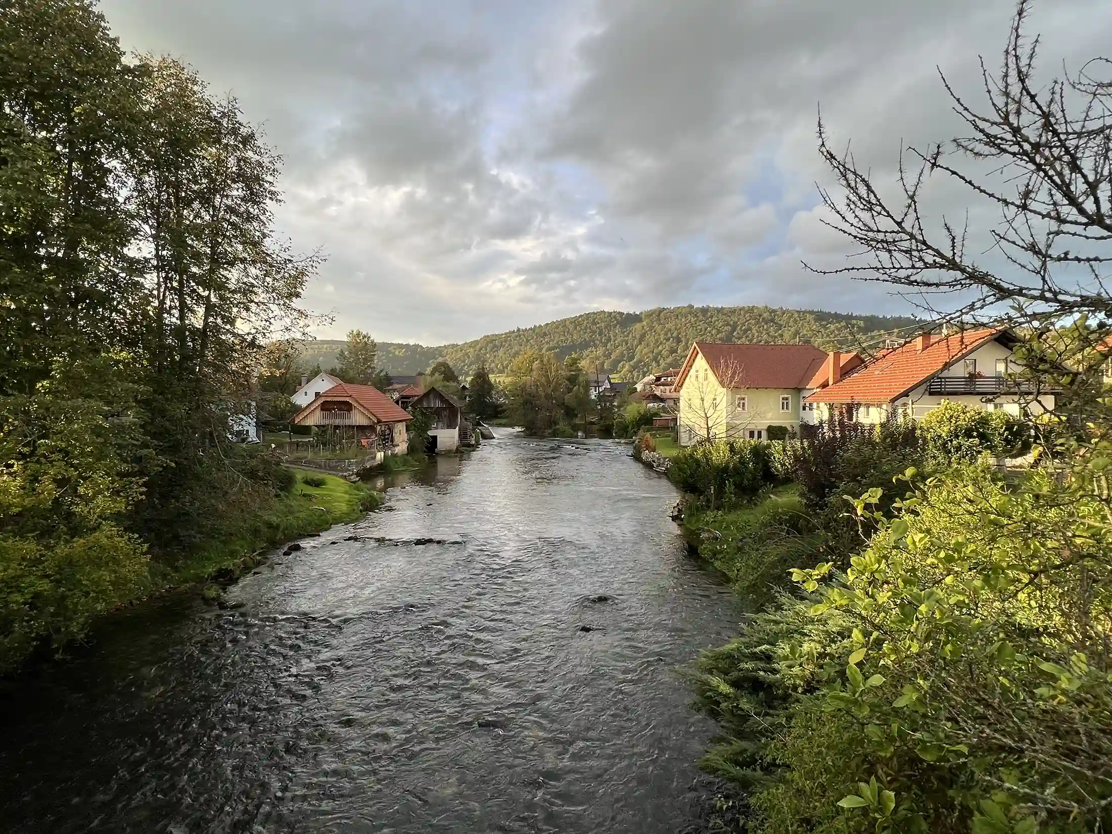 View from Krka River Lodge, Slovenia. Great place for dry fly fishing for large brown trout!