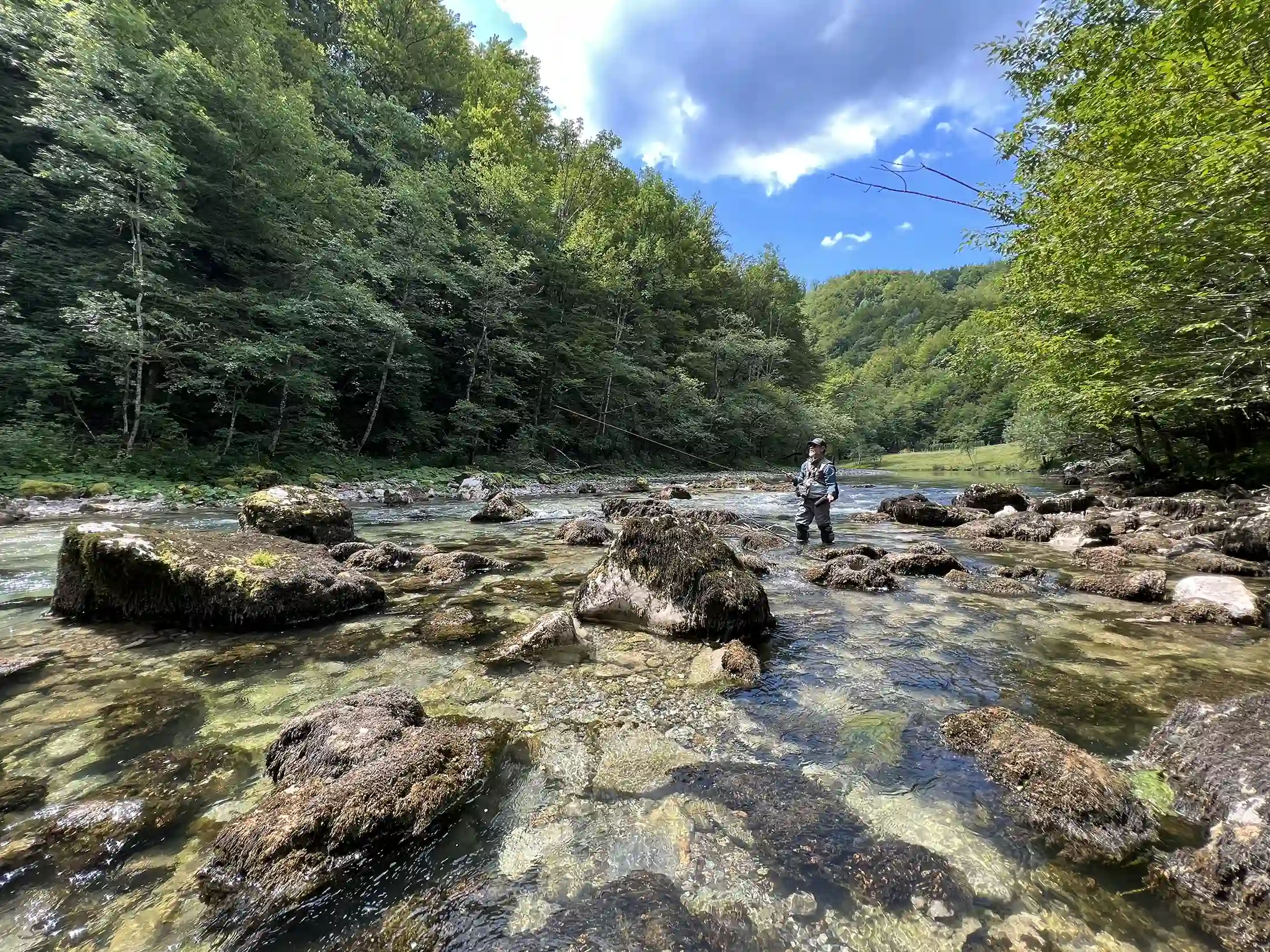 Fly angler in action, Upper Kupa river, Risnjak National Park, dry fly fishing for grayling, Croatia.