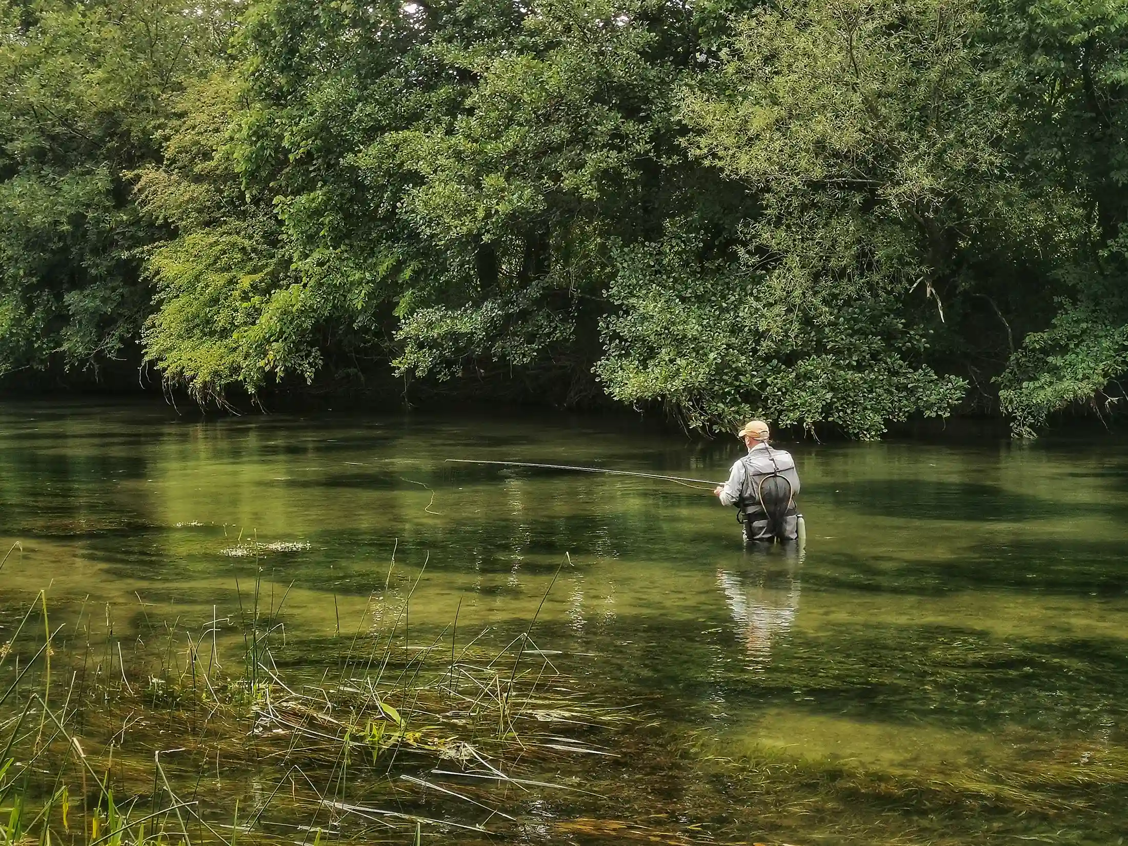 Angler in action on Unica river Slovenia, dry fly fishing for grayling during summer season. Book now you guide!