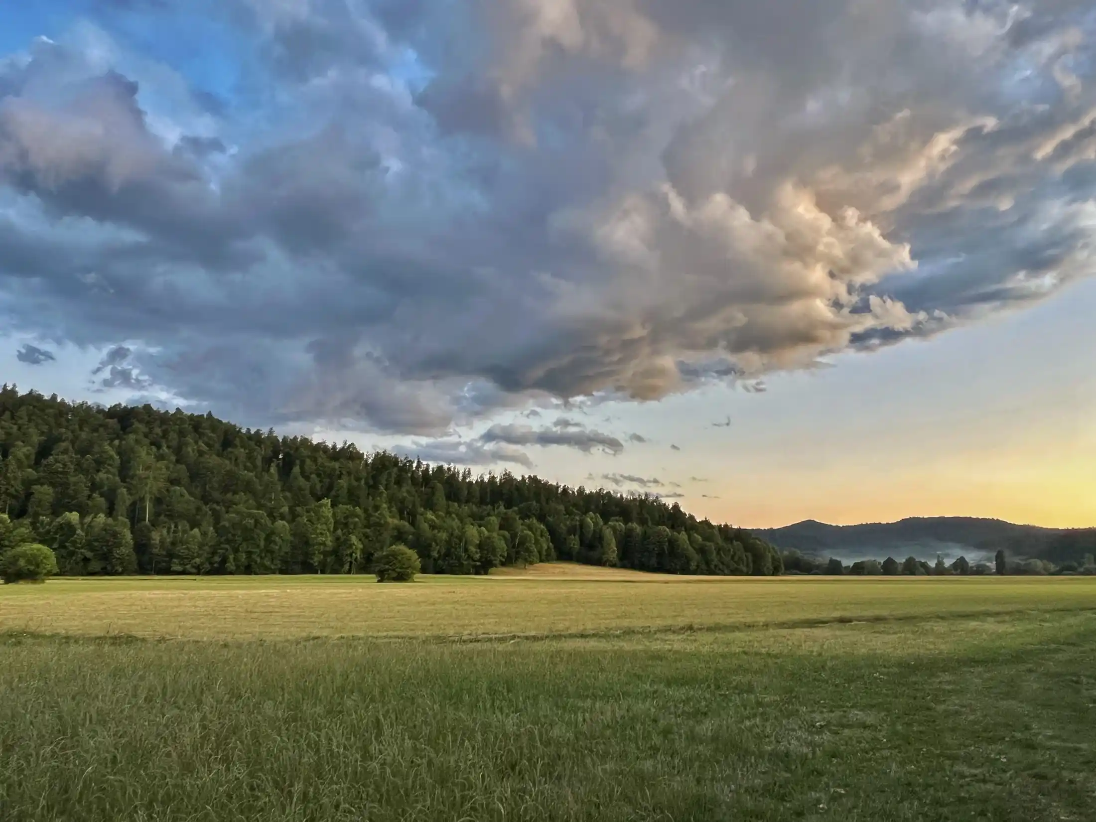 Planina field aroung Unica river Slovenia, dry fly fishing for grayling during summer season. Book now you guide!