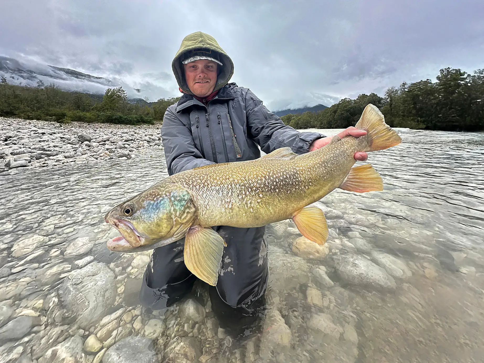 Crazy beautiful marble trout caught on Soča river, Slovenia. Successful guided fly fishing experience with Fly Fishing Alpe Adria.